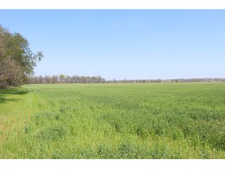 Property photo 30 - OKLAHOMA LAND AUCTION, 550+/- Acres offered in 7 Tracts